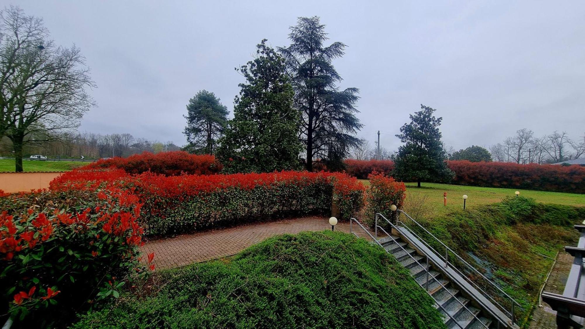 Hotel Villa Delle Rose - Malpensa Oleggio Dış mekan fotoğraf